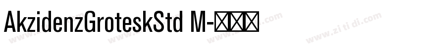 AkzidenzGroteskStd M字体转换